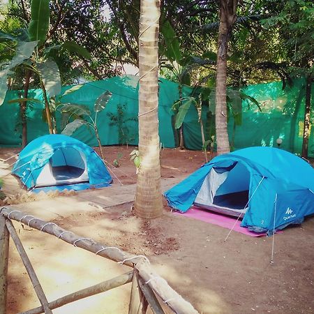 Zostel Goa Hostel Calangute Kültér fotó